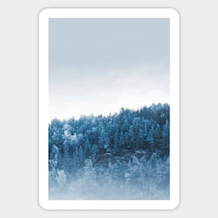 Blue Winter Forest Sticker